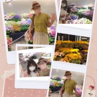 チカホコ　お花がたくさん！