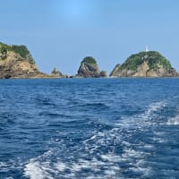 猛暑　7月2日(水)