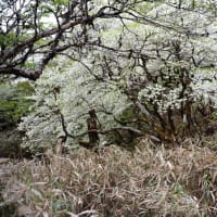 なんて美しい　この世界　Ⅱ