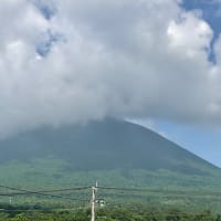 延命拒否の確認がありました。
