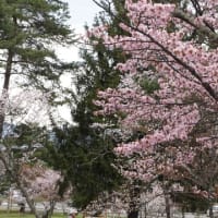 旭山公園
