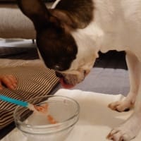 マルちゃんお水排出されたのかな