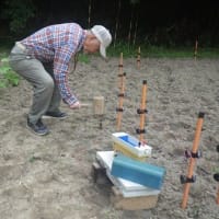 サツマイモ，カボチャ畑を電柵で保護(3/3)