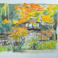 2024.12. 3 : 三渓園 写生の仕上げ
