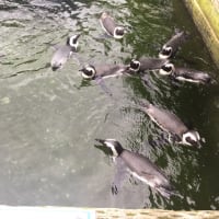 掛川花鳥園