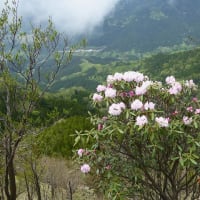 親父岳～黒岳～三尖　４月28日(日)
