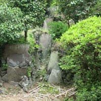 明治記念大磯邸園見学