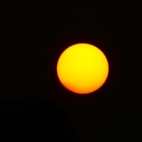 朝の散歩　平池緑地公園　58　日の出とシルエット