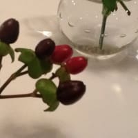 ヒペリカム