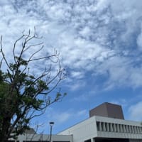 昨日は🥁