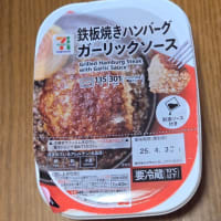鉄板焼きハンバーグガーリックソース
