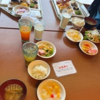 CRF250ラリーで伊豆の林道へ 