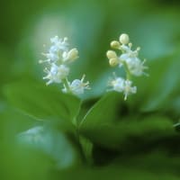 ★天から選ばれたあなたさまへです。