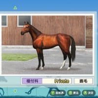久しぶりの実績A