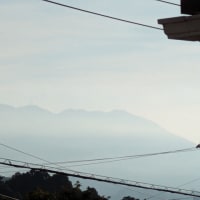 令和の龍　　　　　　　今度はあれが出て来ました；
