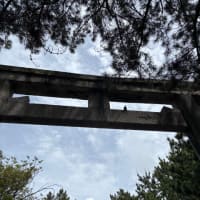 京都の隙間に行った場所とグルメを