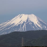 今朝の富士山(2024/05/15)