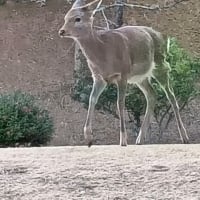 打ち納め