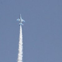 北に向かって・ちょこっとお出かけ（８日目）ブルーインパルス