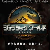 期待の新シリーズが！