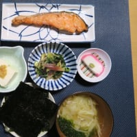 田舎定食・・・さっぱりごはん味噌汁は毎日摂ろう・・・日本の味。