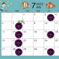 7月の活動日程