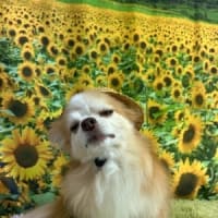 もう明けた？