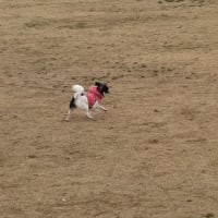 ルナお風呂に入る。