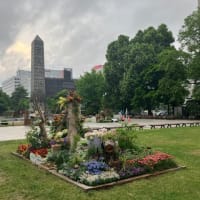 札幌大通り公園　花フェスタ2025