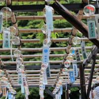 白山神社風鈴祭（大田区）