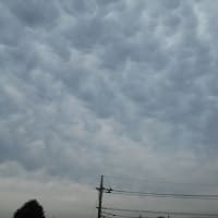 今日の東京はどんより曇り…(-＿-)ｳｰﾑ　お昼過ぎに乳房雲？
