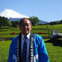 大淵笹場お茶まつり2025開催