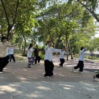 ニャン達よ、しばしの別れ ( in bangkok）