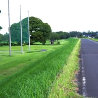 栃木県真岡市、中「北中里のえのき」（県指定）です！！