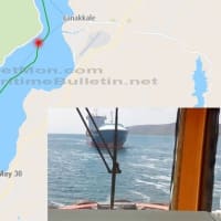 九州の生サバなぜ大丈夫 寄生虫アニサキスの種類原因説 memories on the sea 海の記録