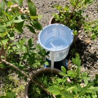 植木鉢の給水対策