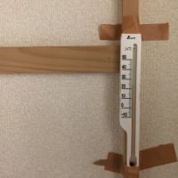 久々の投稿♪(๑ᴖ◡ᴖ๑)♪