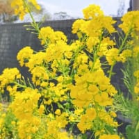 名古屋お一人様時間を振り返る…