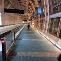 夜の空港探険隊…