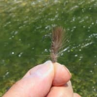 2年振りの北海道 その1
