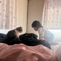 ちぃたんの様子