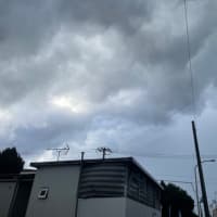 6/11の朝の空