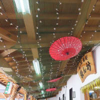 鳥取県八頭郡若桜町「若桜宿」散策♪