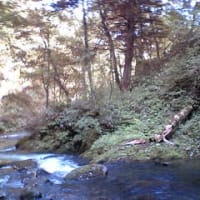 小樽であえて川釣り 超初心者のヘタレ釣りblog 小樽であえて川釣り 超初心者のヘタレ釣りblog