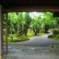 京都　しょうざんリゾート京都・華しょうぶの会  1日～9日