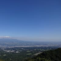 山と羊と