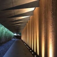 向井芳幸のブログ