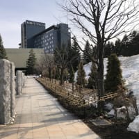 テラスレストラン ピアレ　札幌パークホテル　３