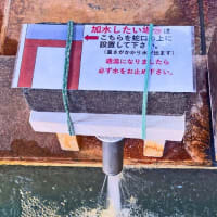 プーさん　北海道爾志郡乙部町字館浦　おとべ温泉郷　光林荘　再訪だよおおう　その２