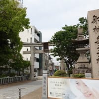 廣峯神社（ひろみねじんじゃ；姫路市広嶺山）～朝鮮系渡来人と秦